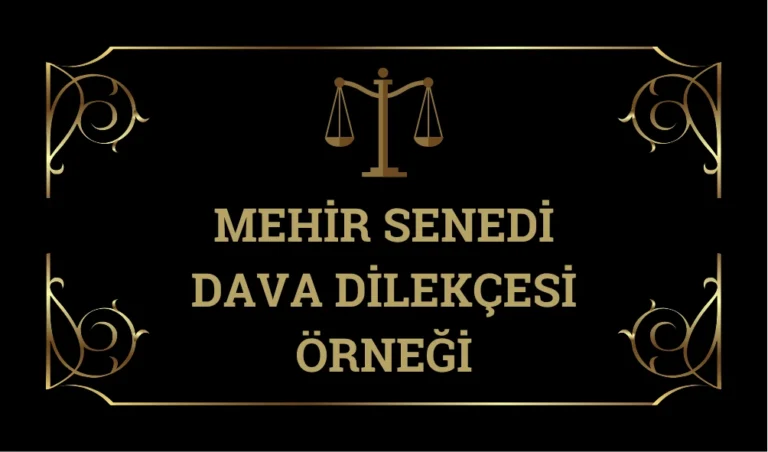 Mehır-Senedı-Dava-Dılekcesı-Ornegı