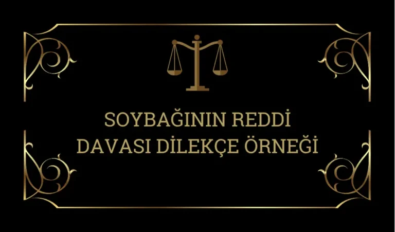 Soybaginin-Reddi-Dava-Dilekcesi-Ornegi